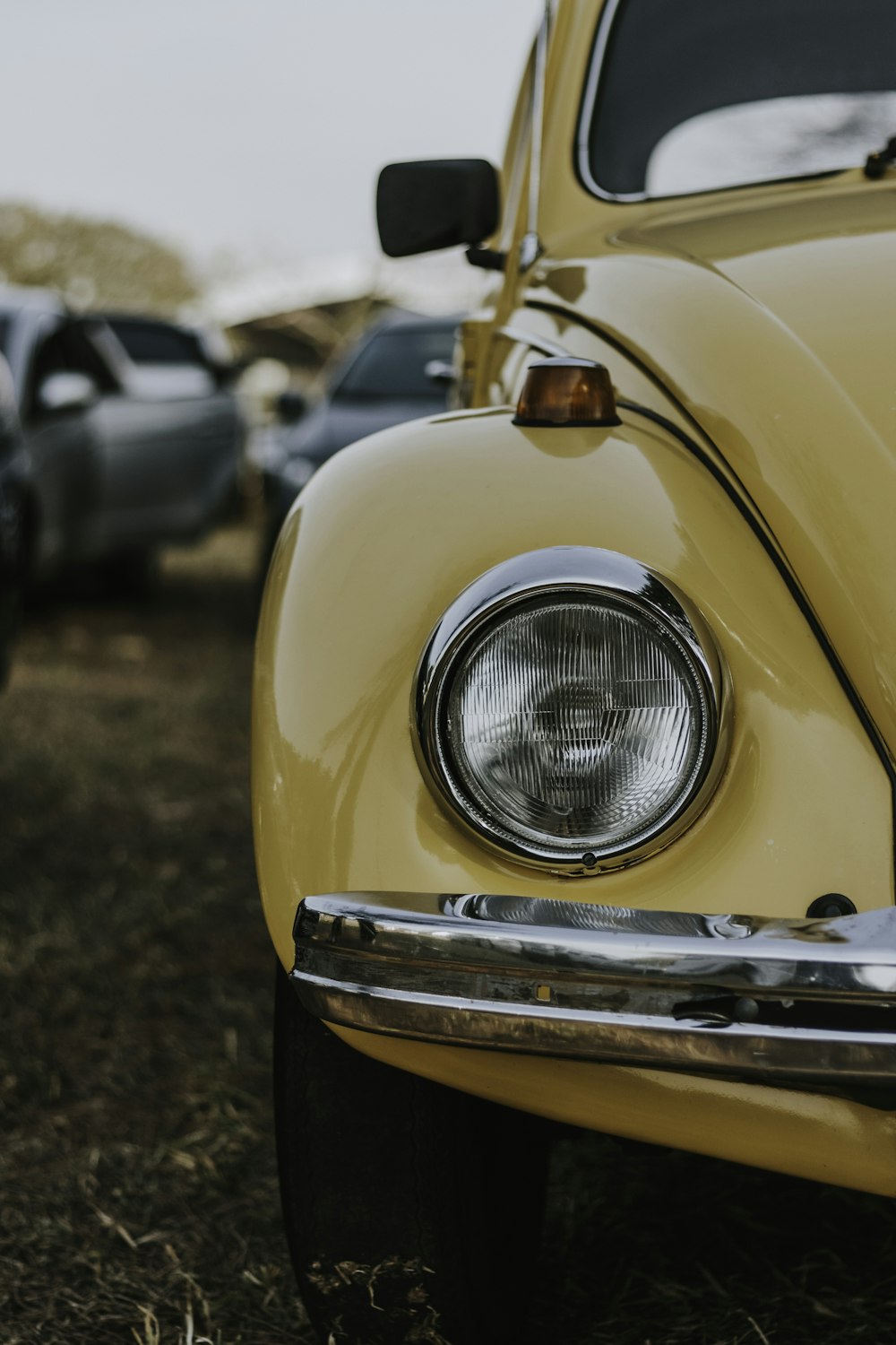 photo of yellow Volkswagen Beetle