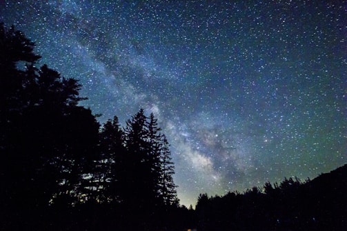 low angle astrophotography of silhouette of trees under blue sky and stargazing