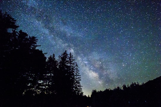 low angle astrophotography of silhouette of trees under blue sky and stargazing