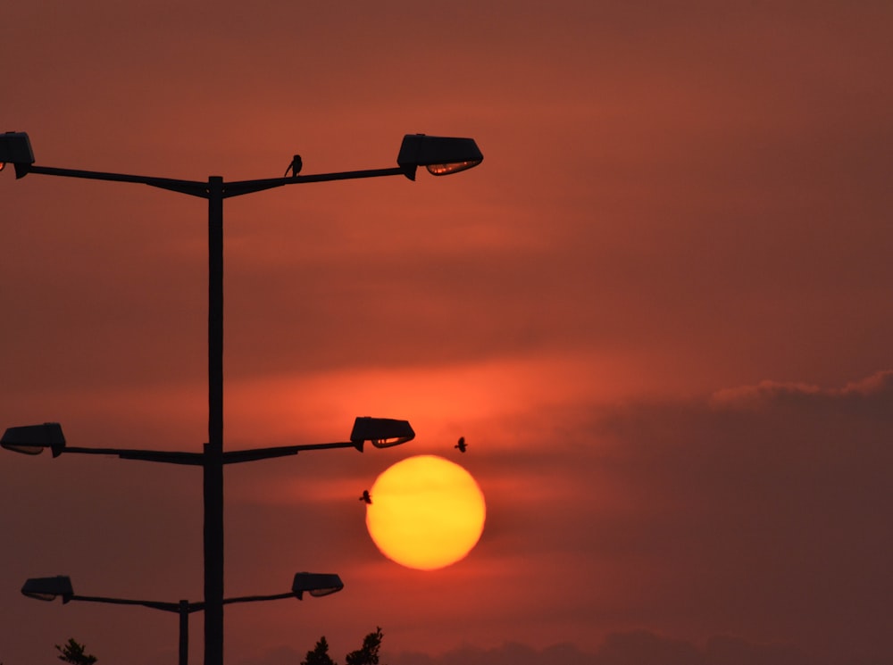 Silueta de postes de luz