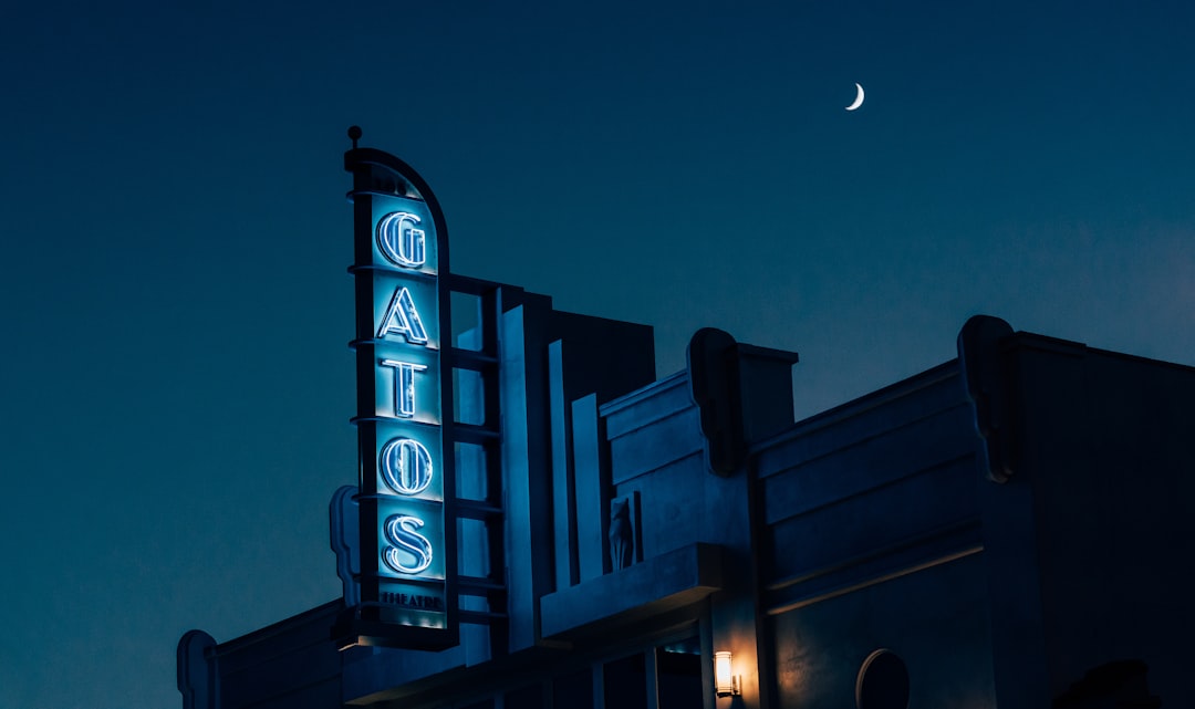 photo of Gatos neon light signage