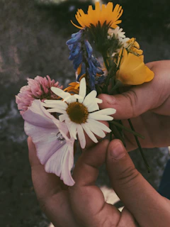 Close-up of hands holding freshly picked wildflowers