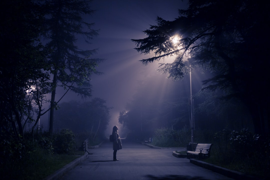person looking at street lamp, Mystical city park