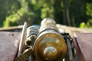 An old, metallic cannon is positioned in the center with its barrel pointed towards a blurred, green, forested background. Various accessories and straps are seen attached to the cannon. The sunlight is softly illuminating the metallic surface, creating a warm glow.