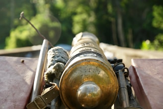An old, metallic cannon is positioned in the center with its barrel pointed towards a blurred, green, forested background. Various accessories and straps are seen attached to the cannon. The sunlight is softly illuminating the metallic surface, creating a warm glow.