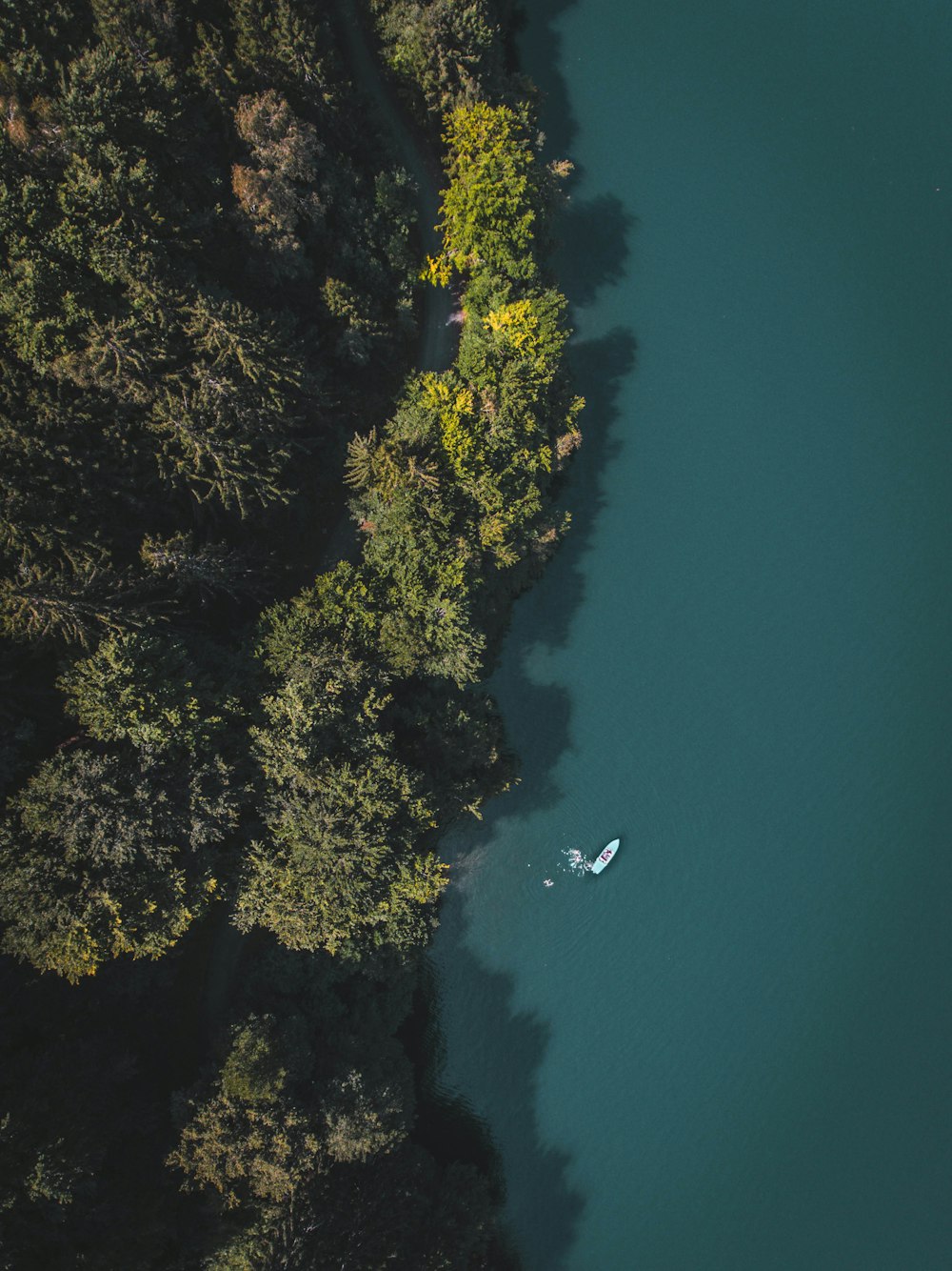 bird's eyeview photo of body of water near green leafed tres