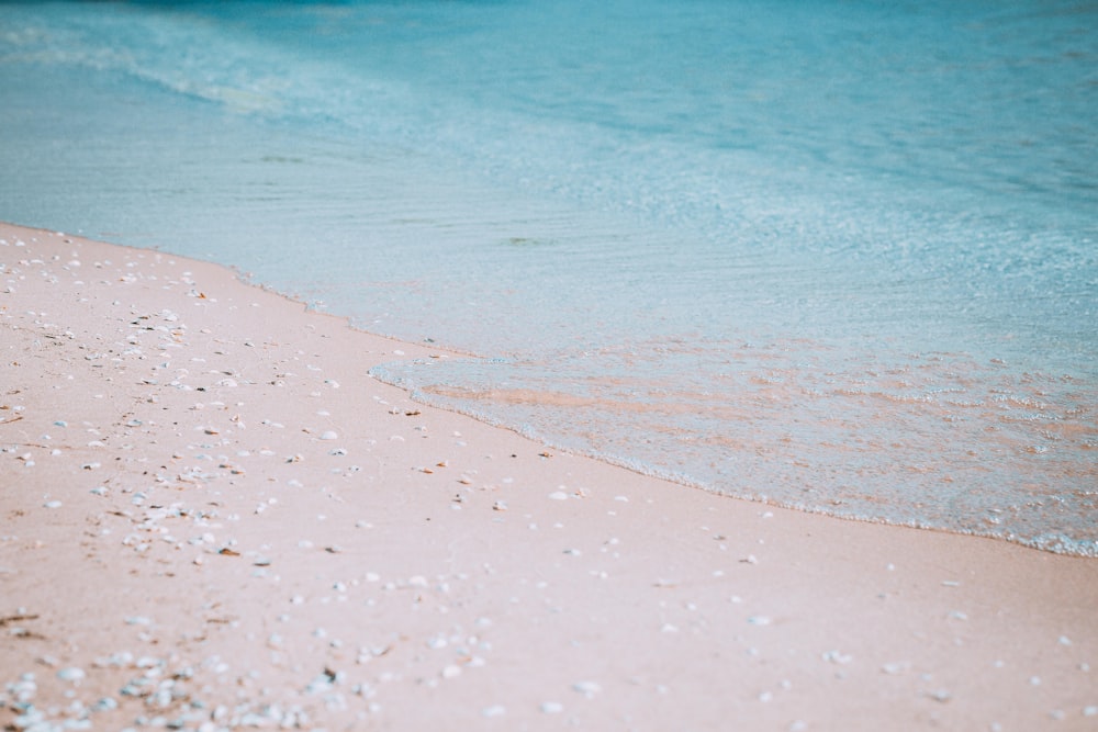 Plan d’eau s’écrasant sur du sable brun