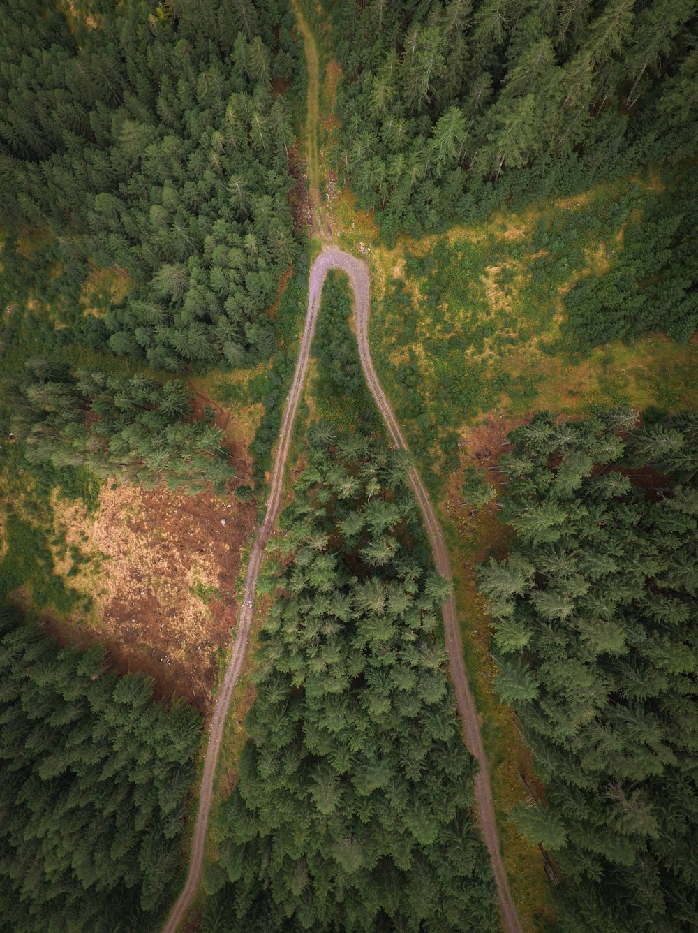 昼間の木々に囲まれた未舗装の道路の航空写真