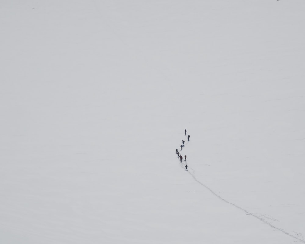 groupe de personnes marchant sur la neige pendant la journée