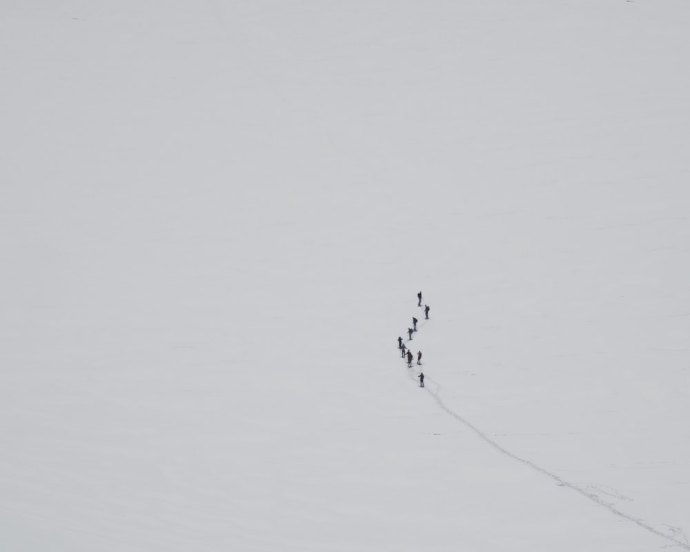 昼間、雪の上を歩く人々のグループ
