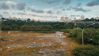 Empty lot with fresh grass and a city skyline in the background on a sunny day
