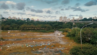 An urban scene featuring an undeveloped or abandoned lot with patches of grass and scattered debris. A dense line of trees separates this lot from a distant skyline of high-rise buildings. The sky is partly cloudy with a combination of light and dark clouds.