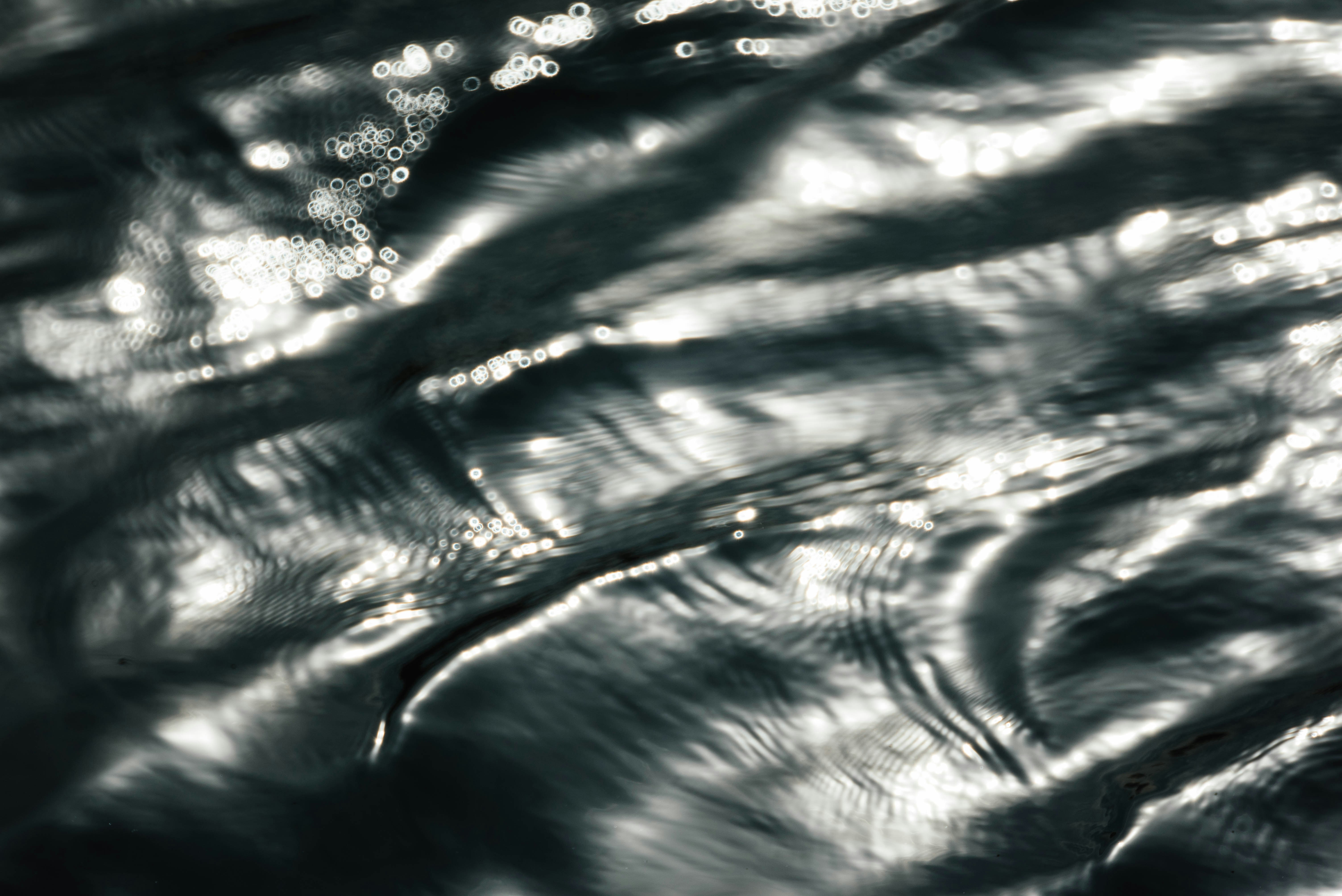 Photo by chuttersnap