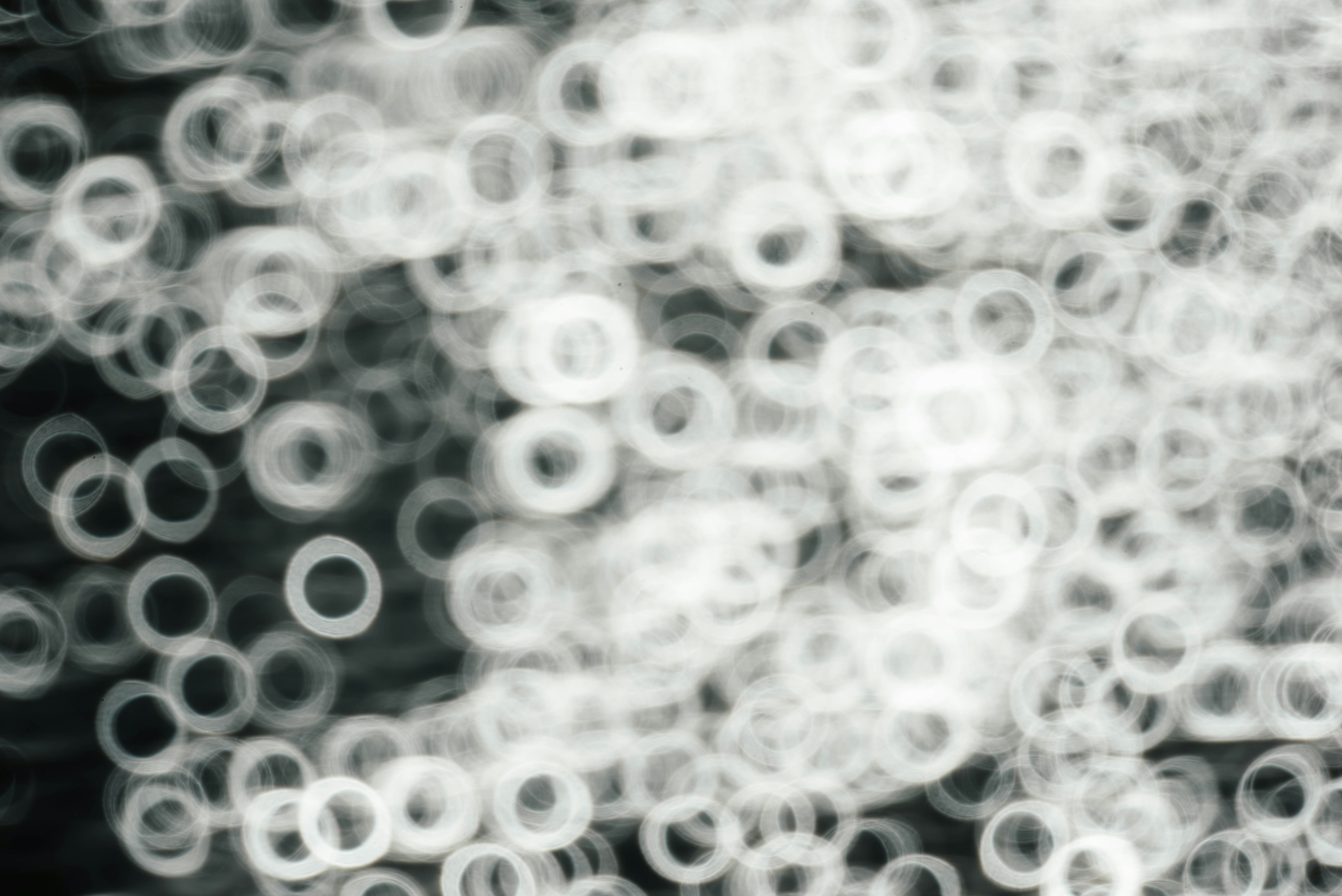 Photo by chuttersnap