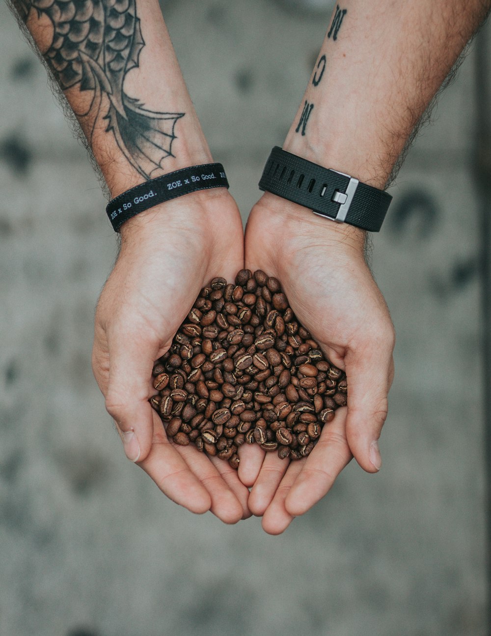 persona che tiene i chicchi di caffè marroni fotografia di messa a fuoco selettiva