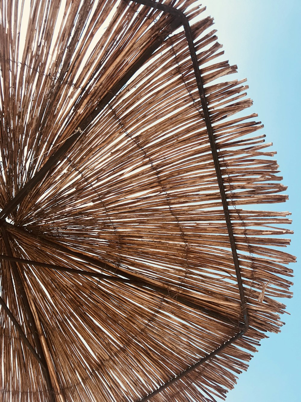 brown hay umbrella under blue sky