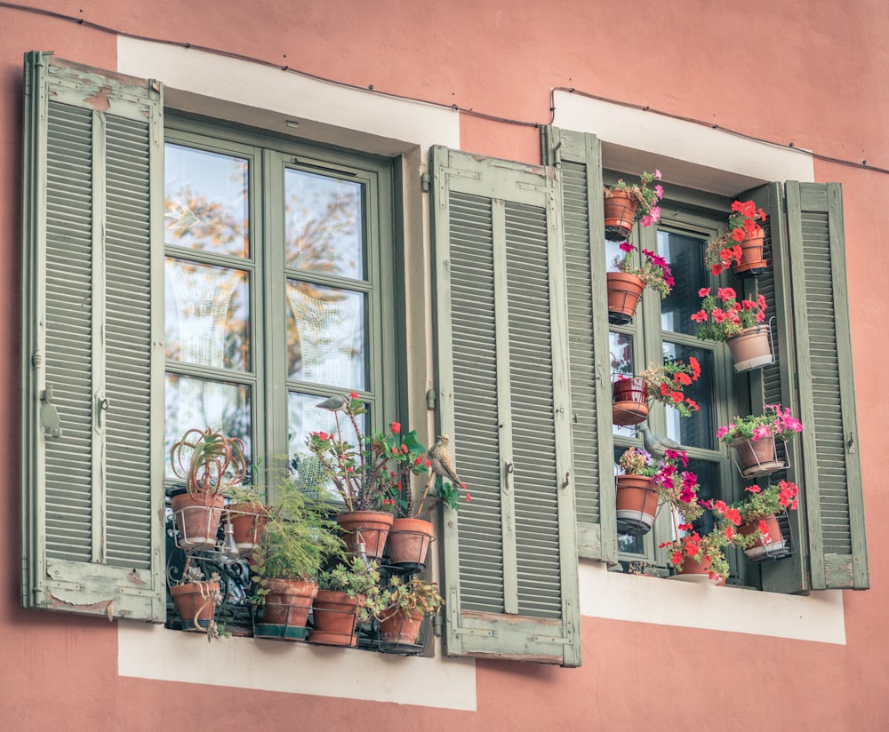 assorted-color flowers in vase near window