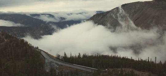 aerial photo of road and mountains with white fogs at daytime in Beartooth Highway United States