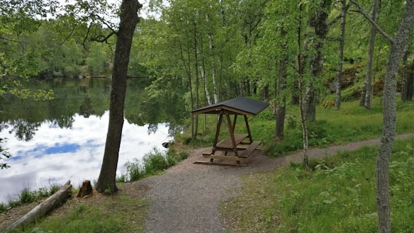 A peaceful scene featuring a wooden picnic table with a canopy situated beside a calm lake, surrounded by lush green trees and foliage. A gravel path leads to the table, inviting visitors to enjoy the serene natural setting.
