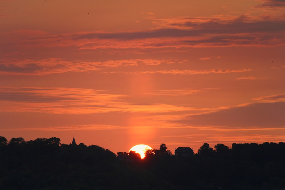 silhouette of trees during sunset