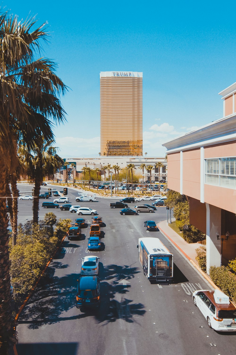 vehicles on road beside building