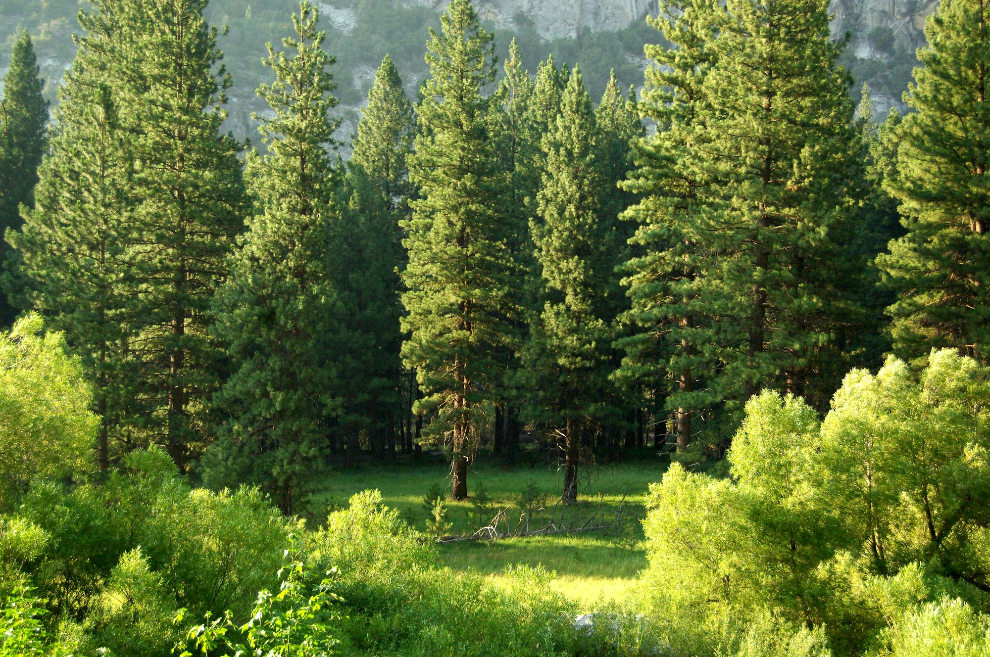 Kings Canyon National Park