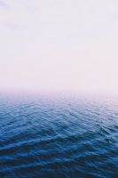 body of water under fogs