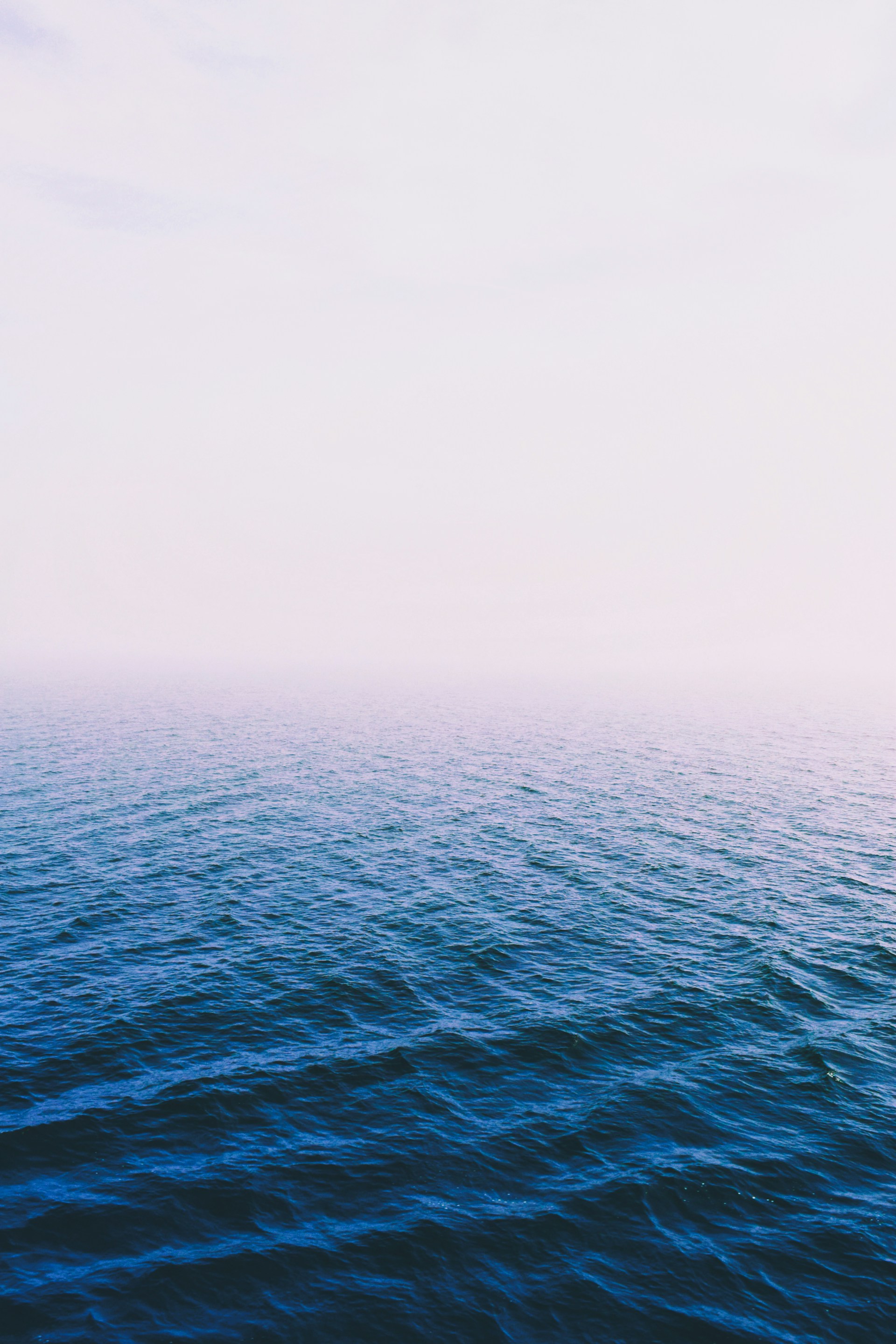 body of water under fogs