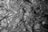 A monochromatic texture with swirling patterns resembling the flow of liquid or the surface of a turbulent body of water. The ripples create a dynamic and complex visual effect.
