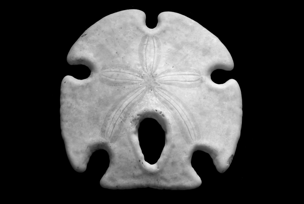 closeup photography of white stone