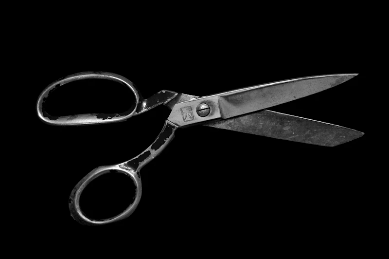 Stainless Steel Kitchen Shears