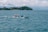 A small fishing boat is navigating through a clear, expansive ocean with gentle waves. In the background, a lush, green island is visible under a partly cloudy sky. The horizon is faintly marked by distant mountains and more islands, creating a serene, picturesque seascape.