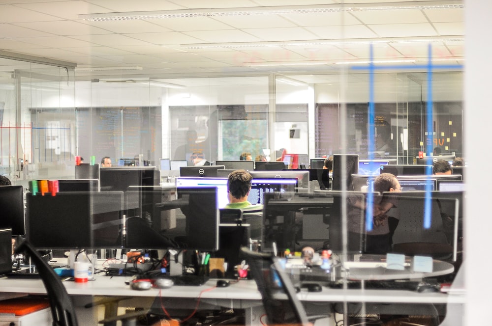 people using desktop computer inside office