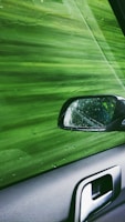 A car side mirror and window are splashed with water, creating a streaked effect. The vibrant green hues in the background suggest a car wash, with water droplets visible on the surfaces.