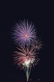 purple and red fireworks time lapse photography