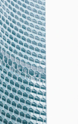 A serene office space with hexagonal patterns subtly integrated into the walls, reflecting collaboration and structured growth.