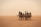 A group of people riding camels across a vast, arid desert landscape with a hazy sky. The travelers are wearing backpacks and casual clothing, indicating a journey or adventure. The ground is sandy with sparse vegetation.