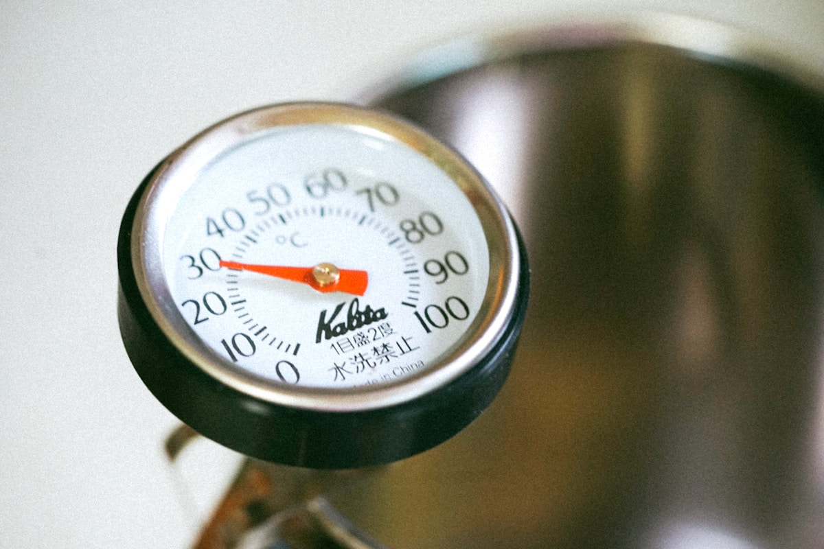 Is Your Oven Secretly Lying About Its Temperature?