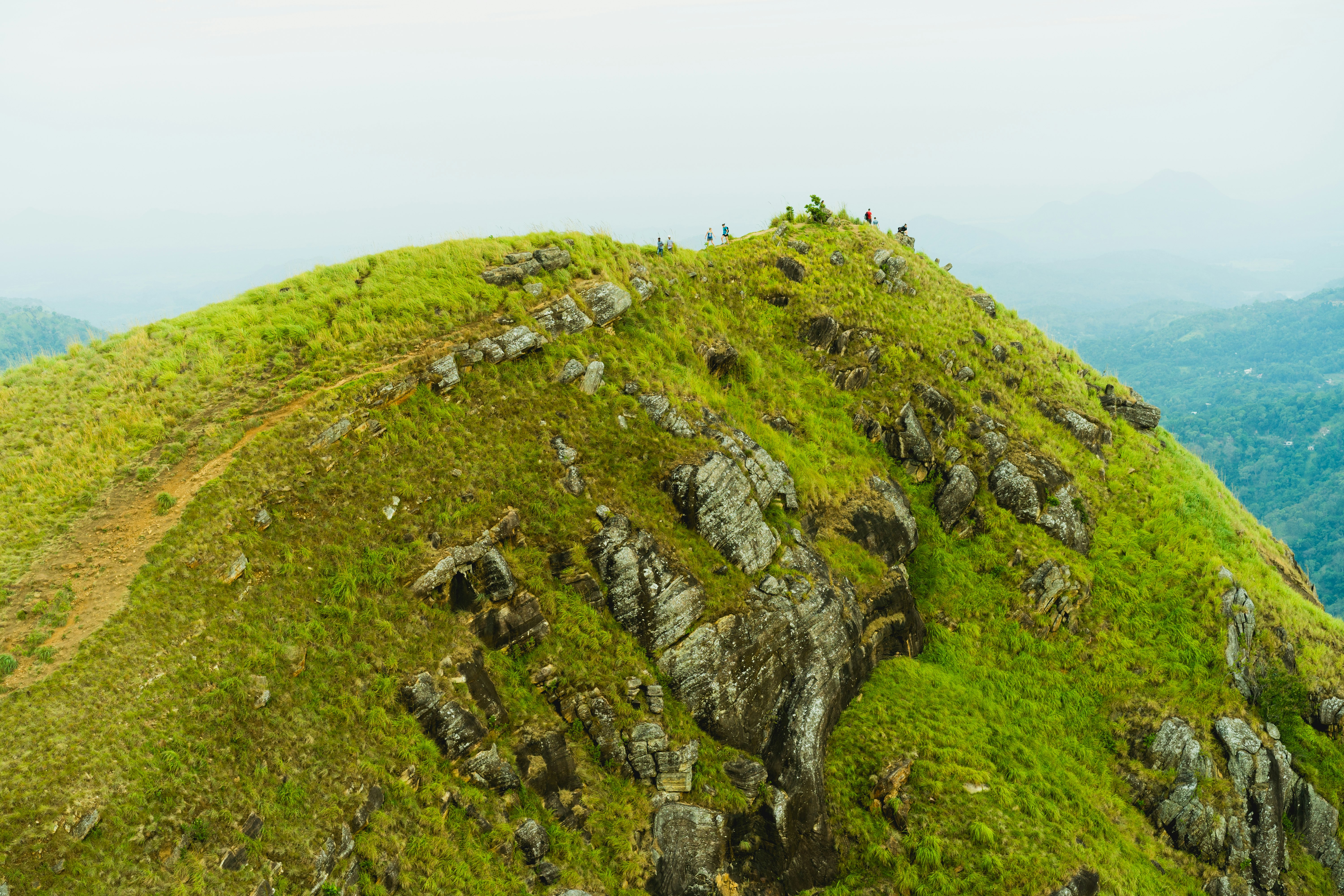 green grass on mountain