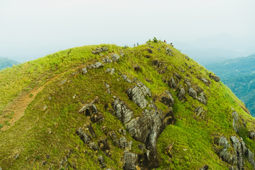 Grünes Gras auf dem Berg