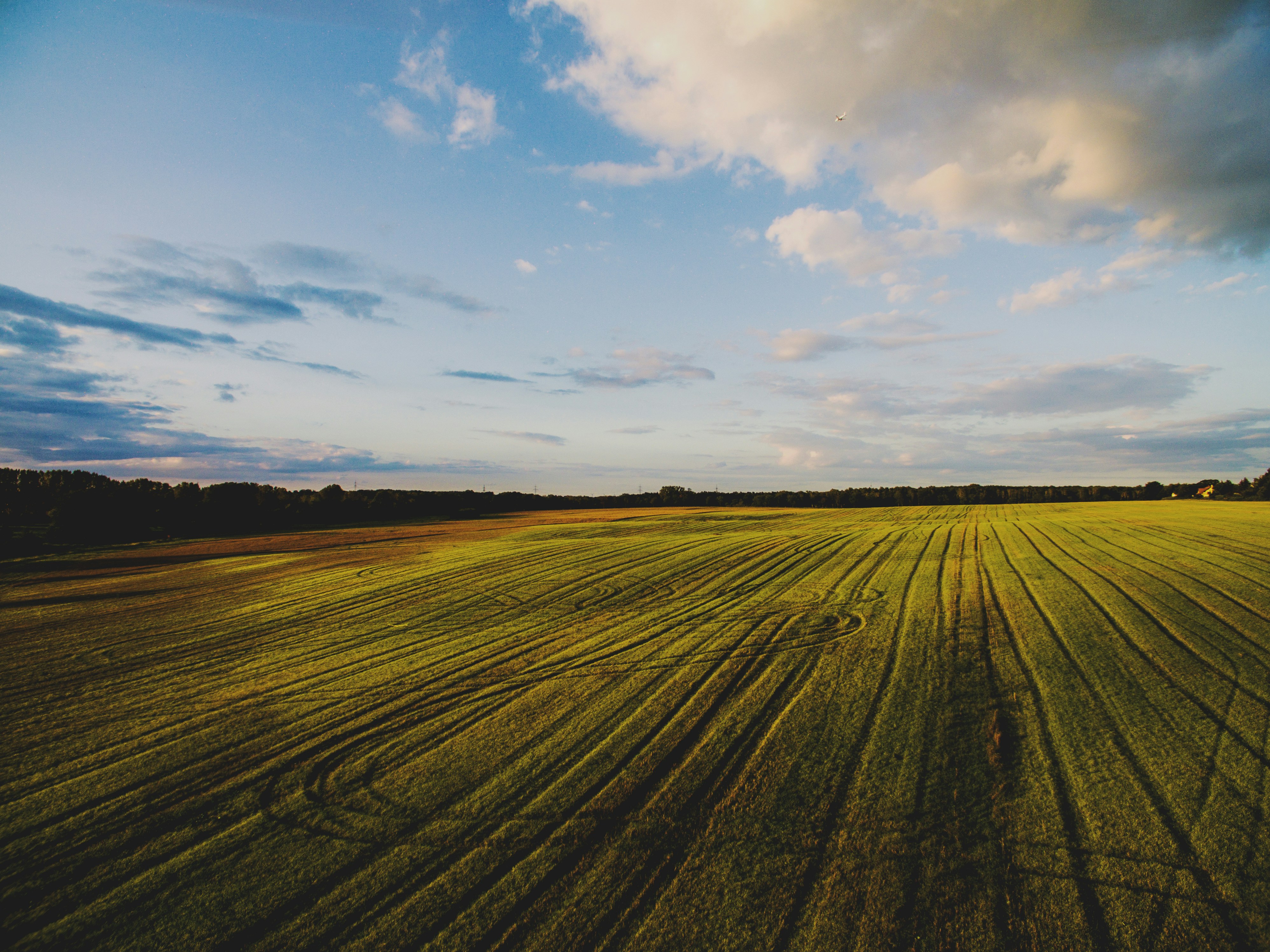 Modern tractor in green field at golden hour, dramatic sky, rich earthy tones
