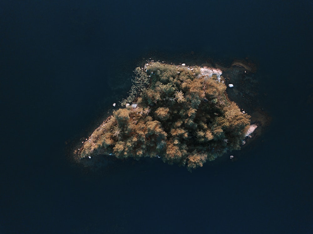 birds eye view of island