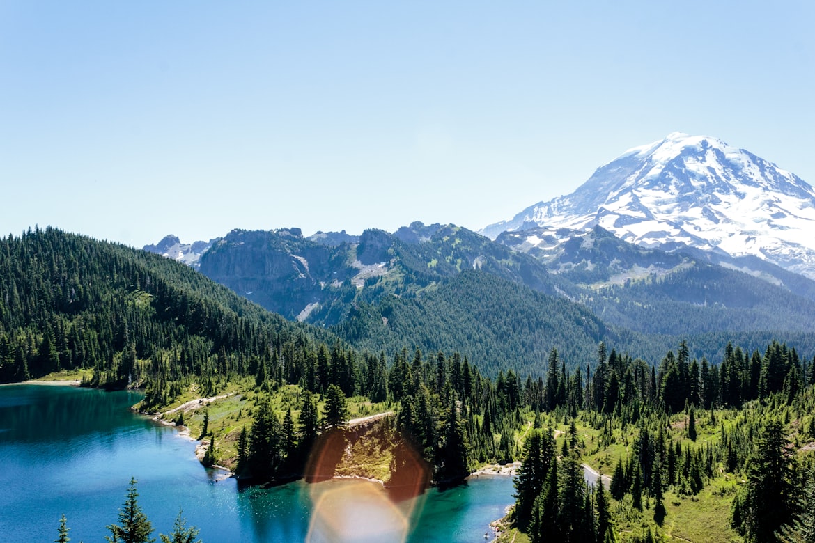 Mt. Rainier National Park image