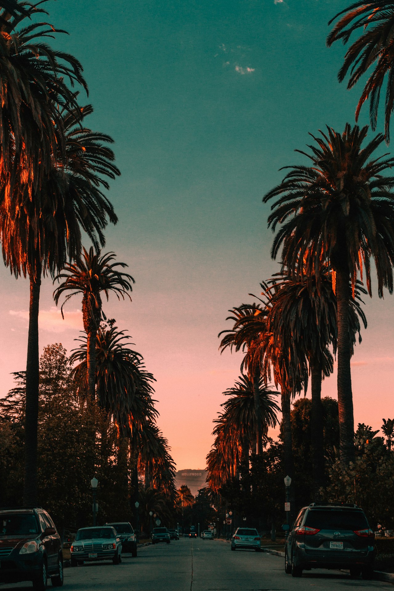Embracing the California Dream: A Guide to Living in the Golden State