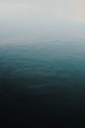 body of water