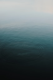 body of water