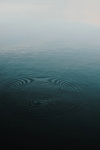body of water
