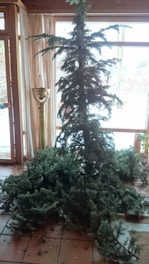 A sparse, bare tree with sparse branches is set up indoors in front of large windows. The tree appears to have dropped many of its branches, which are scattered on the tile floor around the base. The room is filled with natural light, and there is a tall decorative candle holder nearby.