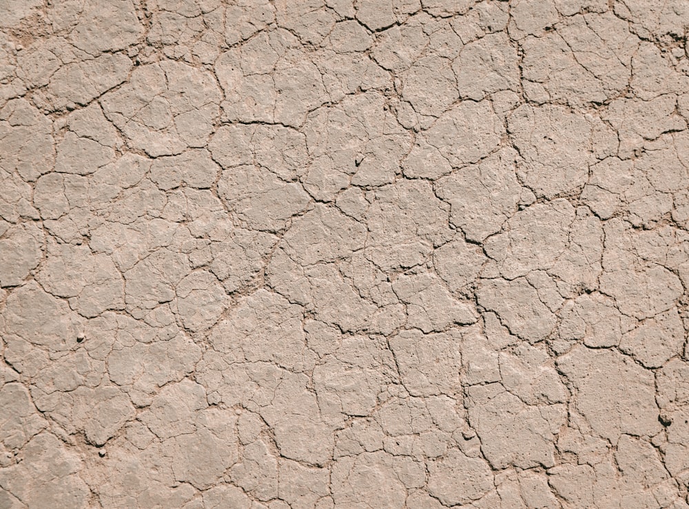 a close up of a cement wall with cracks