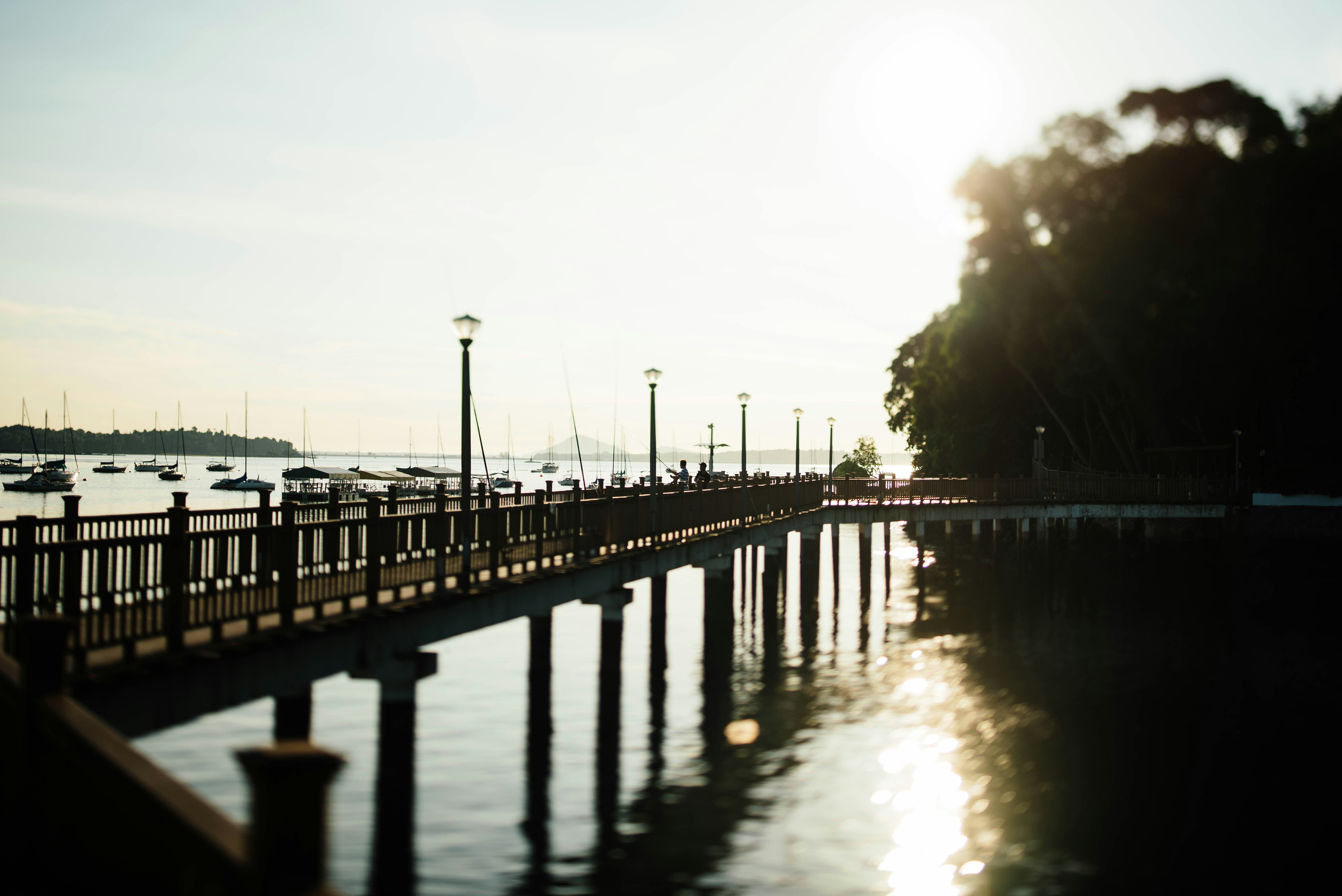 Photo by chuttersnap